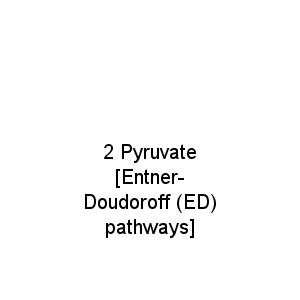 2 Pyruvate [Entner-Doudoroff (ED) pathways]